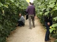 Los agricultores mostraron mucho interés por Kantaka