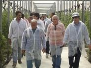 Han sido muchos los agricultores y técnicos que no han faltado a la cita para saber más de Dreamer F1 y Essential F1.