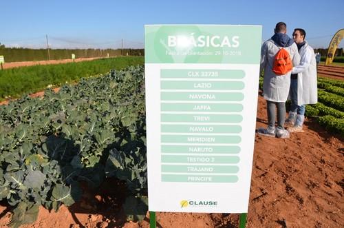 HM.Clause mostró las mismas variedades cultivadas en diferentes fechas para mostrar las diferencias.
