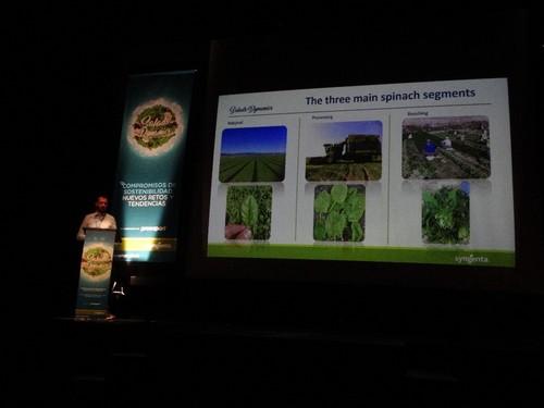 David Courand, genetista global de espinaca de Syngenta.