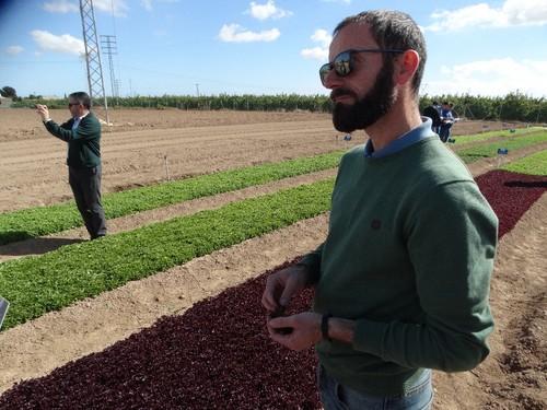Miguel Roca, breeder de Syngenta para baby leaf, multi leaf y romana.