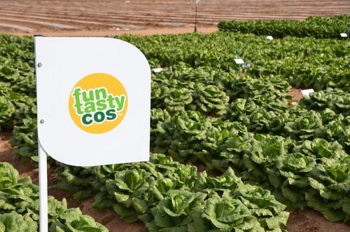 Fun Tasty Cos, el nuevo concepto de RZ que está dando mucho que hablar