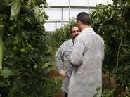 El director manager de tomate de Syngenta dando explicaciones.