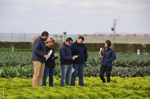 Muchos profesionales del cultivo de hoja se interesaron por la oferta de Rijk Zwaan en estos días