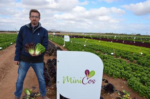José Enrique Colomina, especialista de lechuga de Rijk Zwaan