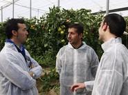 Más explicaciones a agricultores sobre cómo es Valkirias.