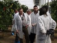 Observando las plantaciones.