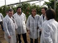 Preguntando por detalles del cultivo.