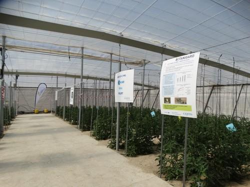 En un corto plazo de tiempo, Certis ofrecerá nuevos productos al agricultor