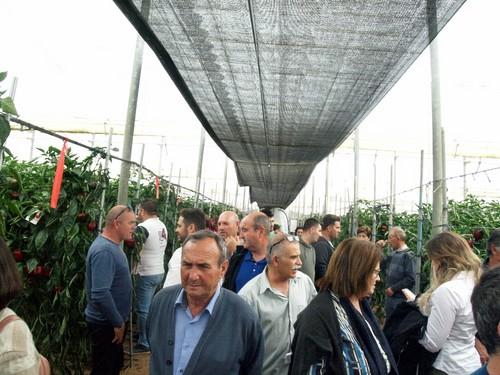 Cientos de agricultores disfrutaron de las jornadas.