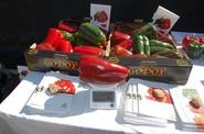 ¿Alguien sabe cuánto pesa un pimiento?