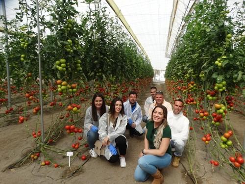 Un gran número de grupos de agricultores conocieron la nueva variedad de la casa de semillas Hazera España.