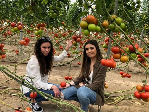 Trabajadoras de Hazera con la variedad.