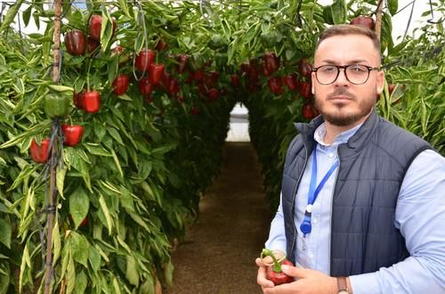 Jesús Capel, técnico comercial de Motroy Seeds.