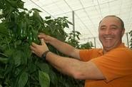 Francisco Morales ya cultiva el 35-620 RZ y está muy satisfecho.