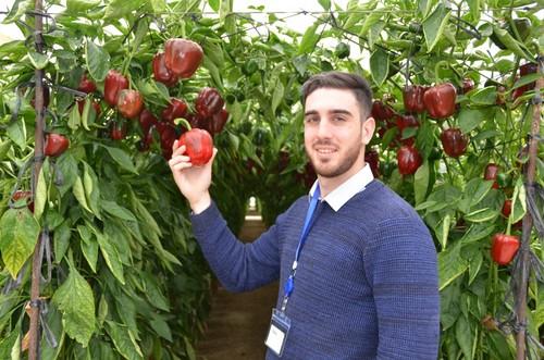 Javier Puga, técnico comercial de Motroy Seeds, con el California Torrente.