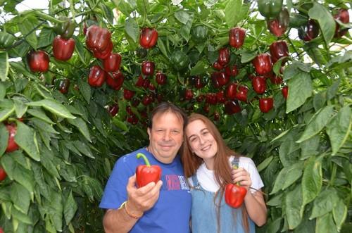 Dos agricultores encantados con Torrente, el California rojo de Motroy.