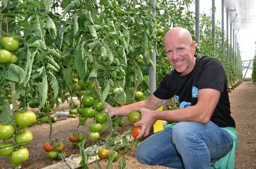 Paco Fuentes ha probado por primera vez esta variedad de Rijk Zwaan y está muy contento con ella