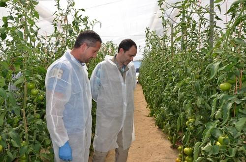 Luis Trillo, técnico, junto a un agricultor observando la planta de Alvalade RZ