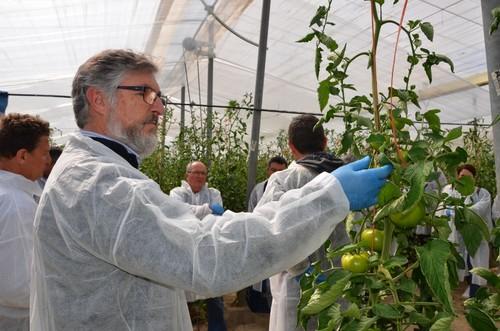 Alberto Domingo, de Rijk Zwaan, observando el comportamiento de la planta