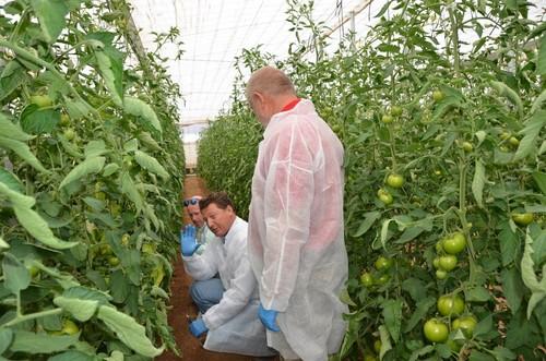 José Luis Ruipérez explicando algunas especificaciones de Alvalade RZ a varios agricultores