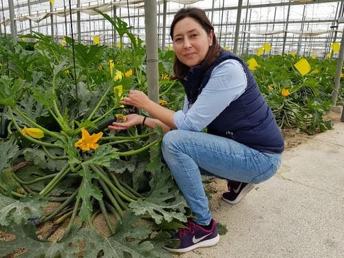 Beatriz Palmero, técnico de desarrollo de calabacín de HM.CLAUSE.