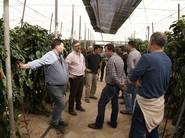 Los agricultores comparten impresiones con Alberto Domingo, de Rijk Zwaan.