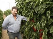 Ángel Sánchez, agricultor del núcleo ejidense de Matagorda.