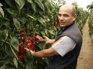 Antonio Galdeano, productor de pimiento lamuyo que no ha querido perdere las jornadas de puertas abiertas de Rijk Zwaan.