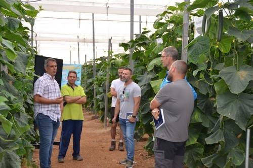 Algunos técnicos y agricultores se interesaron, desde primera hora de la mañana, por esta nueva propuesta de Rijk Zwaan