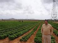 Julián Sabando, socio y delegado comercial en Murcia.