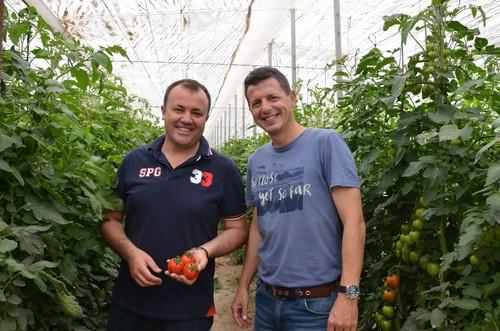 Paco Pino y Manuel Hernández, de Rijk Zwaan, junto a una plantación de Atakama RZ