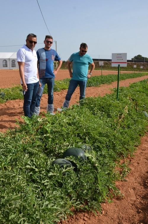 Visita a la finca de CLAUSE.
