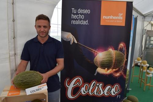 Melón piel de sapo Coliseo, el primer melón con resistencia al virus Nueva Delhi
