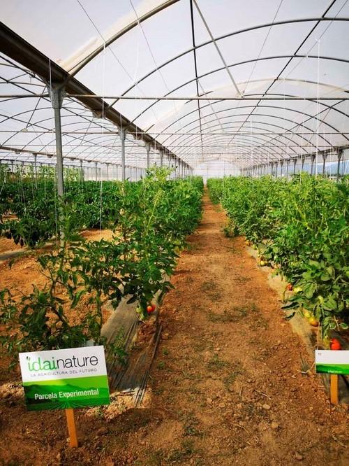 La finca experimental Naturalia cuenta con una aplia diversidad de cultivos para realizar los ensayos de productos