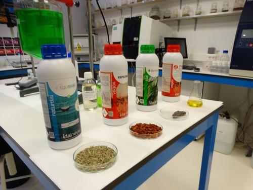 Idai Nature abrió sus puertas a clientes y amigos para enseñar sus instalaciones sostenibles desde el laboratorio hasta las oficinas de la empresa