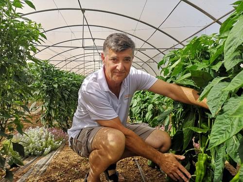Claudio Vidal mostrando ensayos de pimiento en la finca experimental.