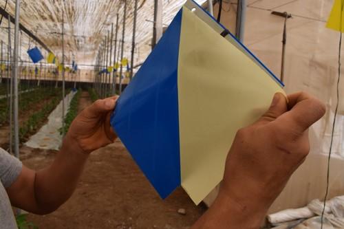 Las placas en buen estado de conservación no dejan residuos de papel