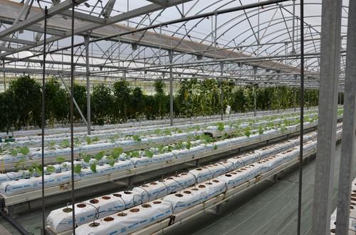 Instalaciones del Centro de Producción de Fitó.