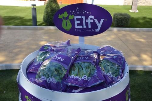 El mini apio Elfy