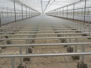 Nuevas instalaciones del Semillero Campoejido