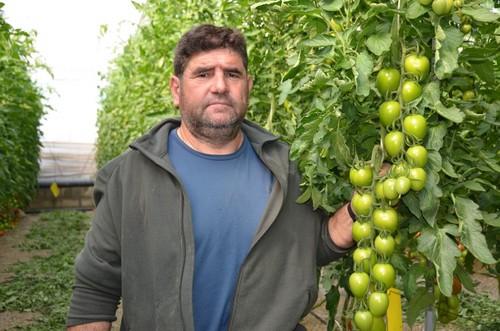 Juan Miguel Amezcua, agricultor de Atakama RZ en Níjar