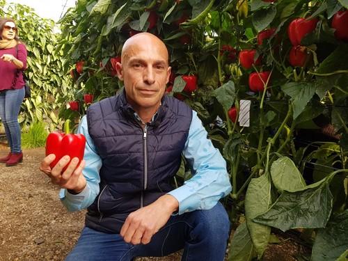 José Marín, técnico comercial de Syngenta en la zona del Poniente.