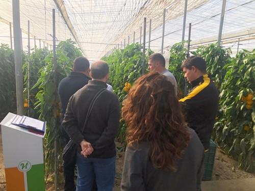 Los agricultores acudieron a las fincas durante toda la mañana.
