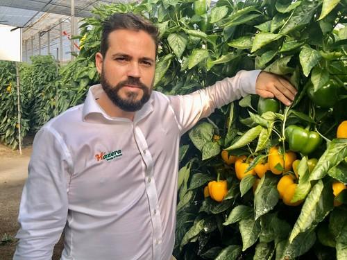 Daniel Montoro junto a la variedad Insignia, que destaca por su color amarillo limón.
