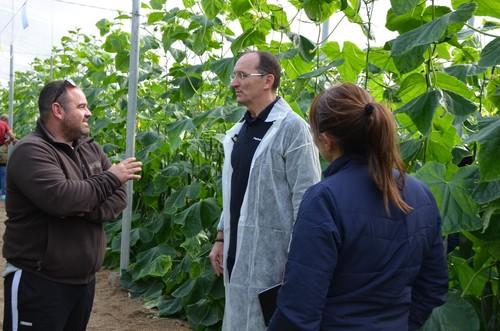 Pedro Pleguezuelo, responsable de MK regional de pepino y melón de Syngenta.