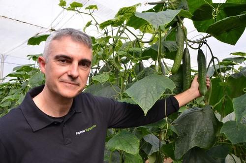 Víctor García del Águila, Product Manager de cucurbitáceas de Syngenta.