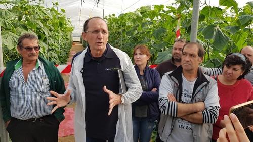 Pedro Pleguezuelo, responsable de MK regional de pepino y melón de Syngenta, durante su explicación.