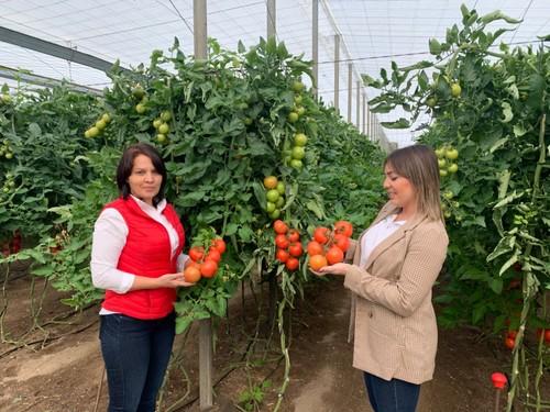 Ana Garcés y Anabel Pérez, comerciales de Hazera España, con sendos ramos de la variedad Sotomayor.