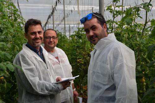 Menendo Gómez, de ISI Sementi en la zona de Sevilla, junto a agricultores